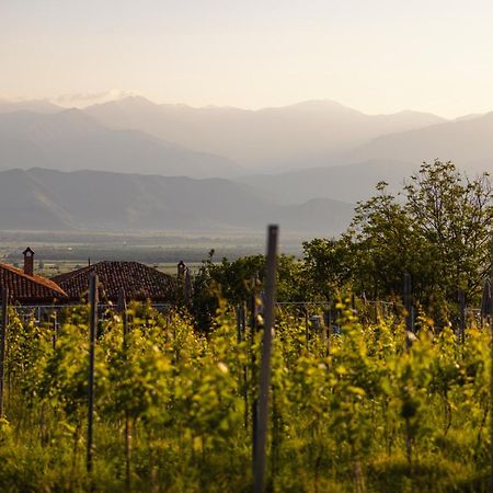 Schuchmann Wines Chateau,Villas & Spa Telavi Esterno foto