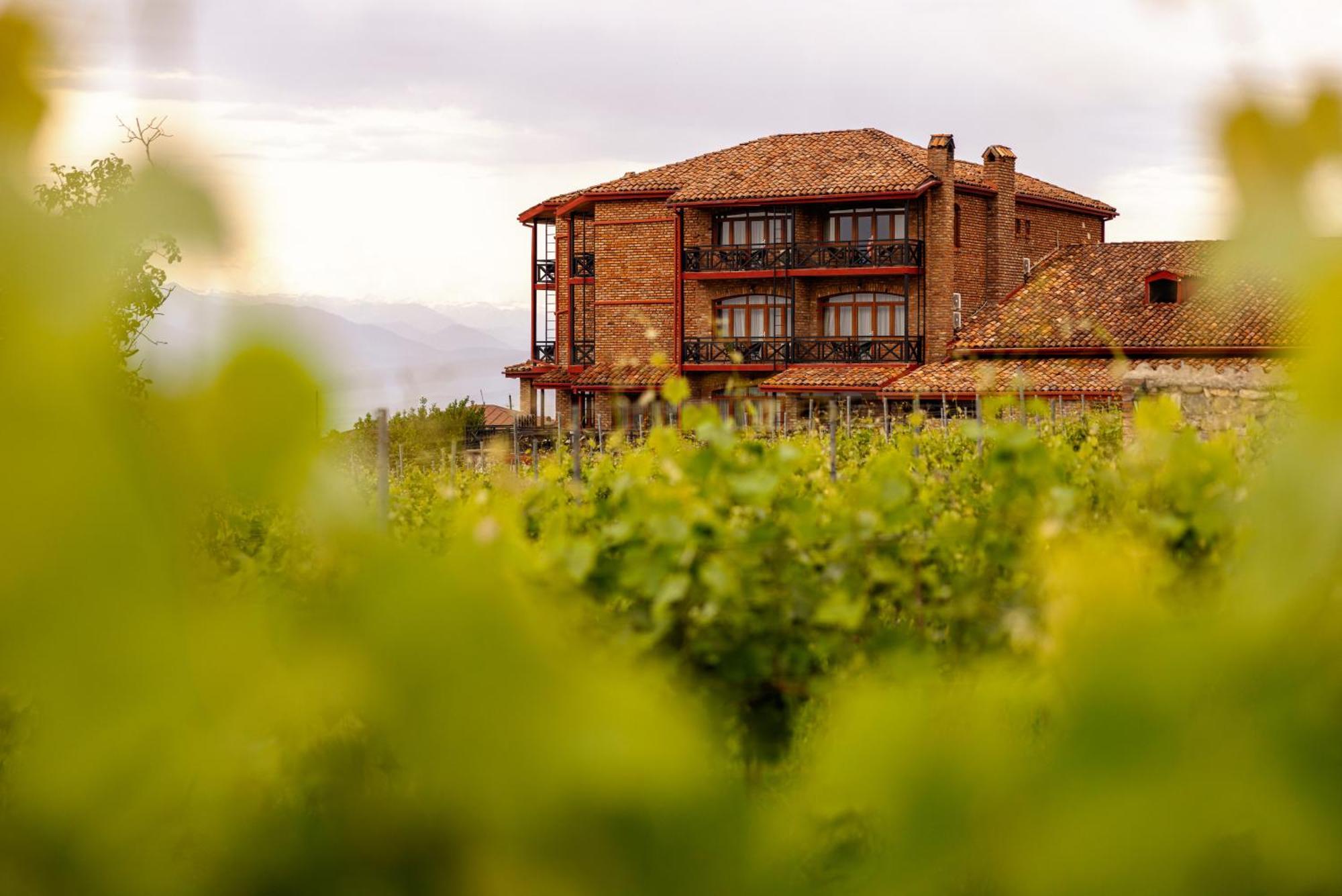 Schuchmann Wines Chateau,Villas & Spa Telavi Esterno foto