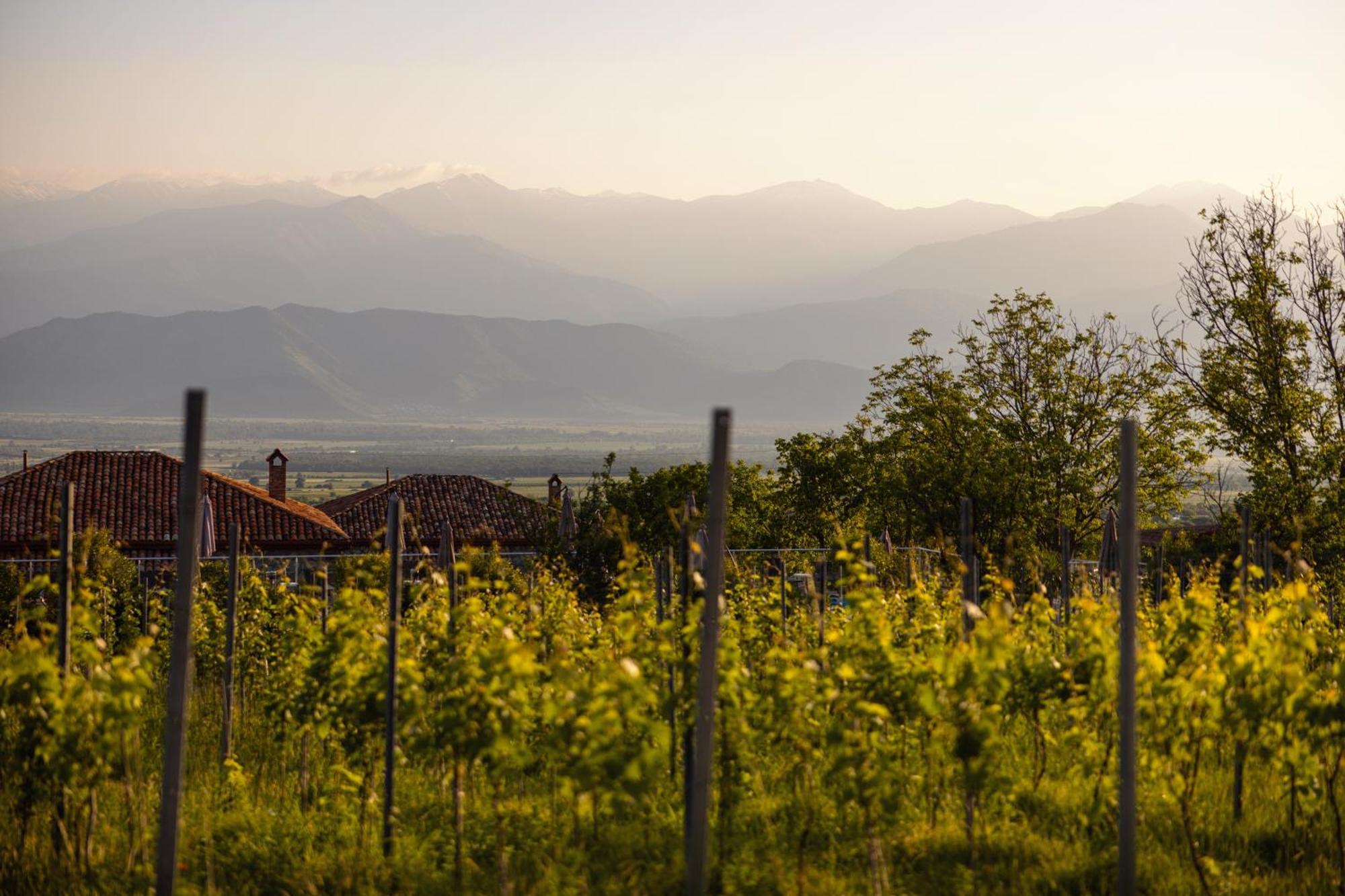 Schuchmann Wines Chateau,Villas & Spa Telavi Esterno foto